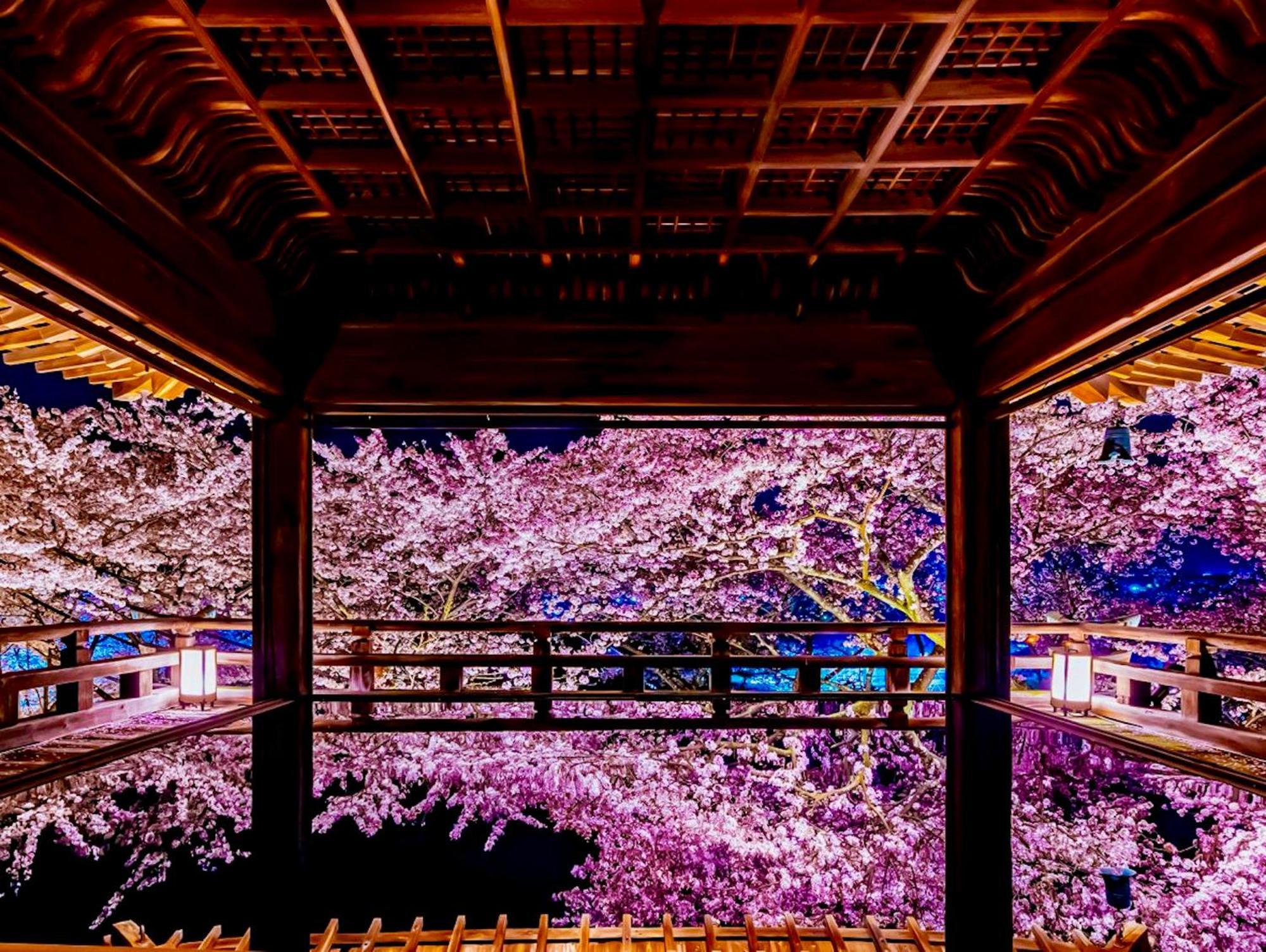 Koke Musu Inn Otsu Esterno foto